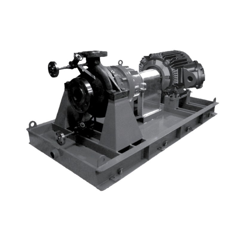 WMC (OH 2) Serisi API 610 Standart Kimyasal Pompalar